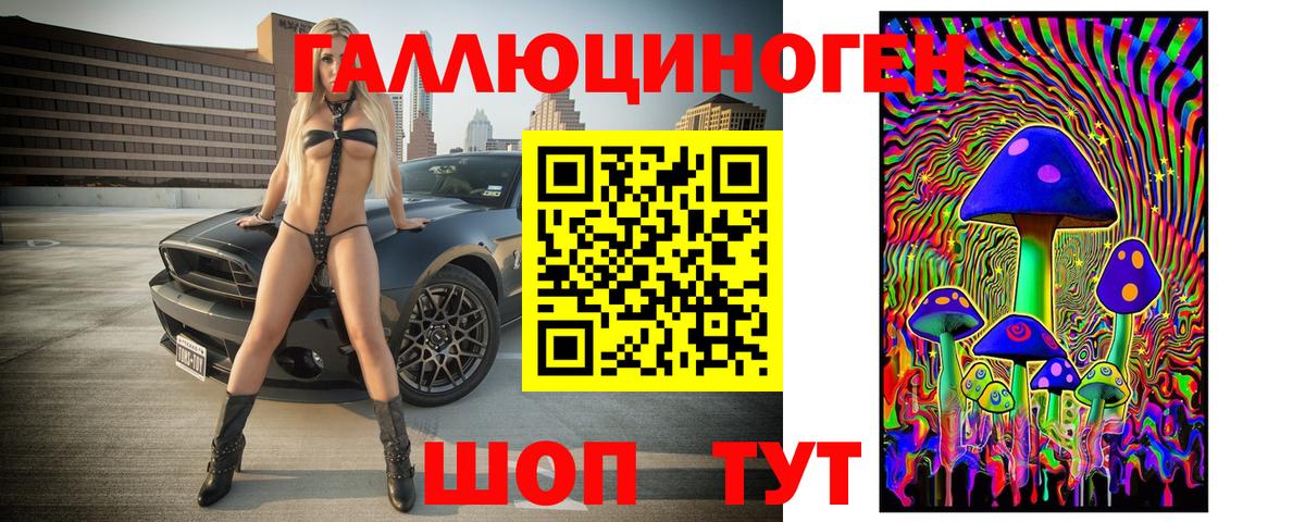 Великий Новгород  Псилоцибиновые грибы Psilocybe  продажа наркотиков  Вход с VPN  Галлюциногенные грибы Psilocybe 